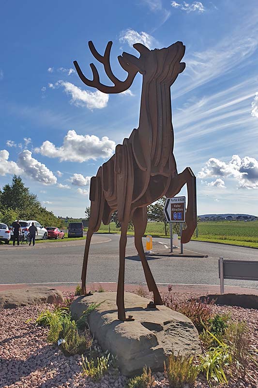 Roundabout Stag