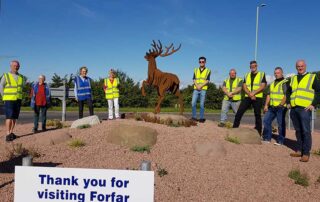Roundabout Stag